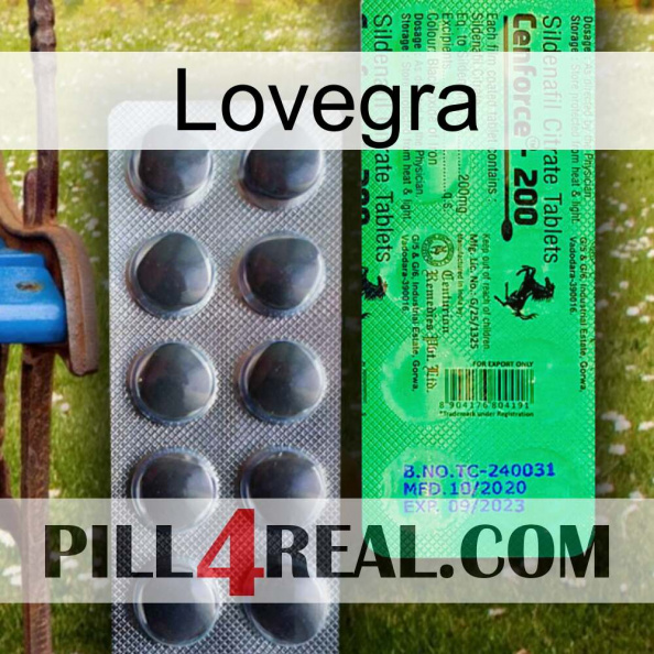 Lovegra new04.jpg